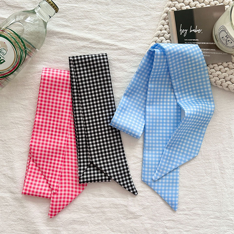 Women Scarf Luxury Silk Scarf  - Luxury Bags Mini 리뷰 및 가격